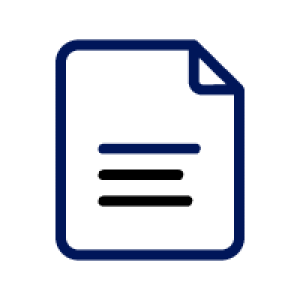 ICONS _Report
